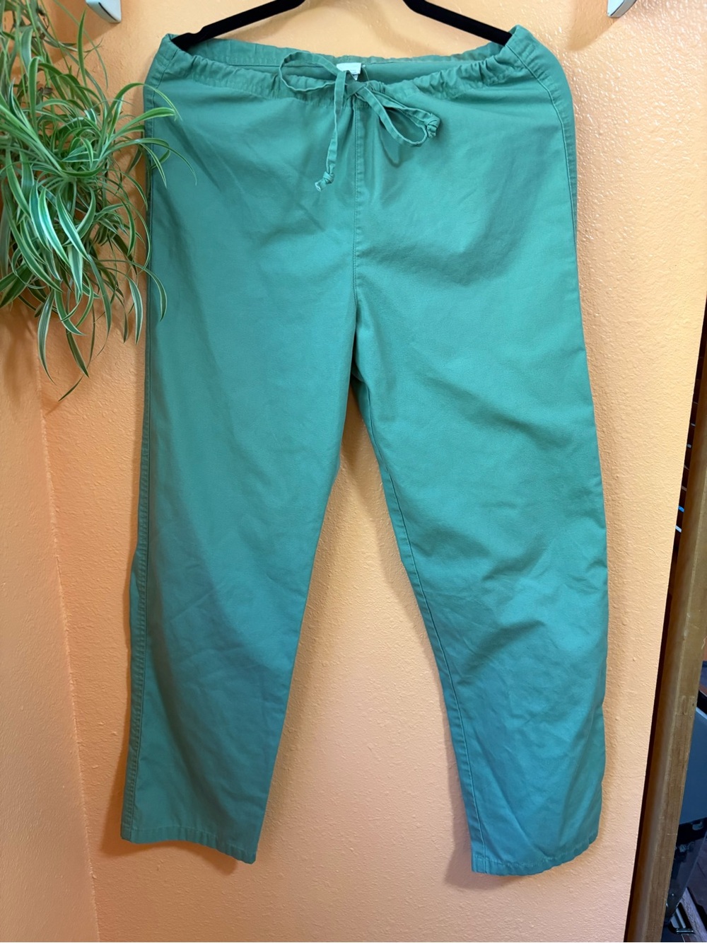 Woman’s Dickies Scrubs drawstring